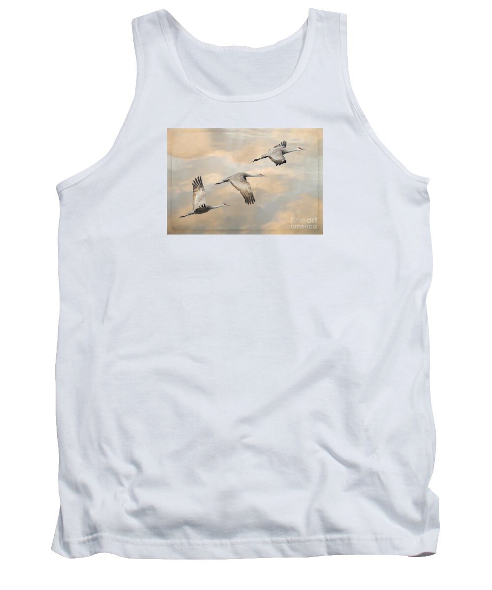 California Tank Top featuring the photograph Fly Away by Alice Cahill