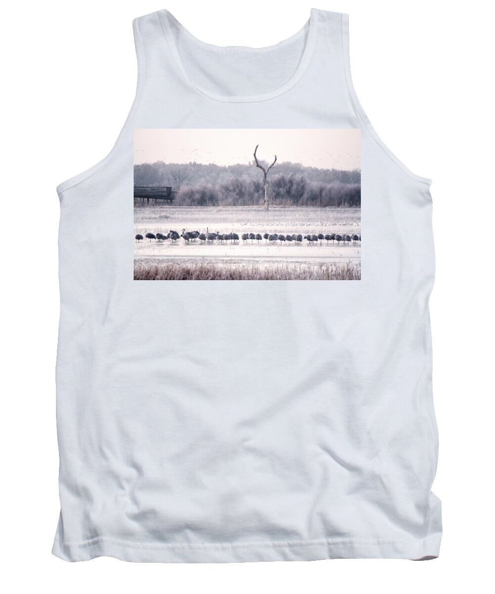 Bosque Del Apache Tank Top featuring the photograph Frost Line by Diana Powell