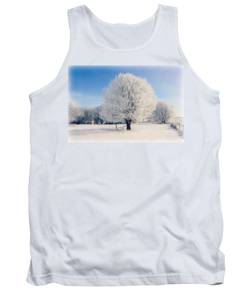 Tree Tank Top featuring the photograph Frosty Glow by Julie Hamilton