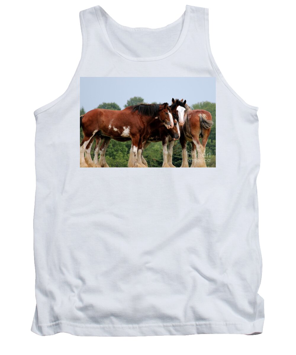Horse Tank Top featuring the photograph Horsie Huddle by Janice Byer