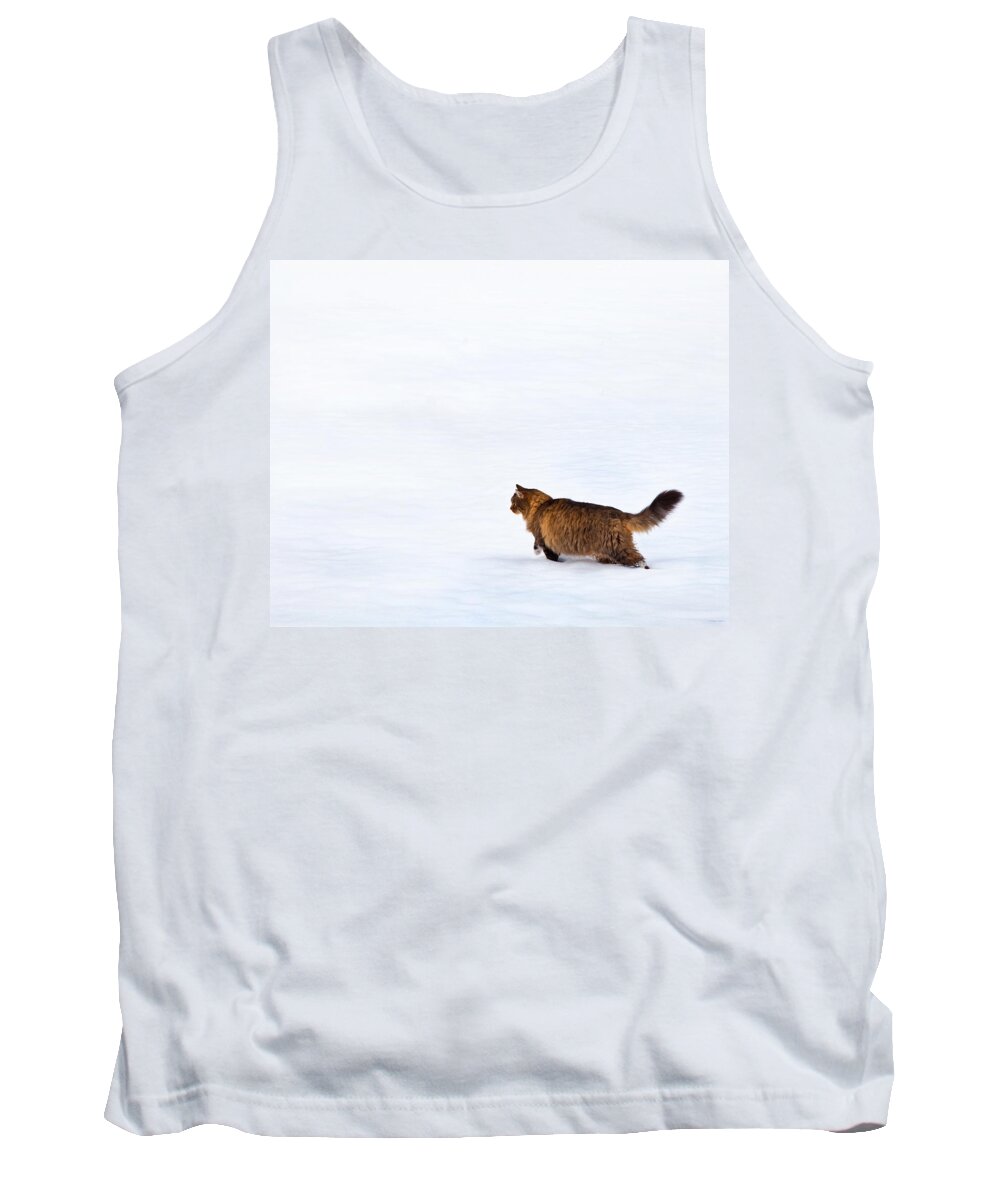 Domestic Cats Tank Top featuring the photograph Hunter At Work by Theresa Tahara