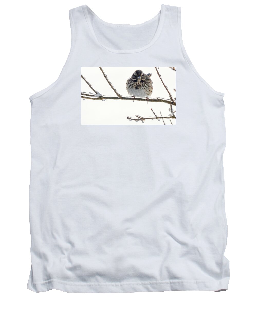 Sparrow Tank Top featuring the photograph Icy Sparrow by Lynellen Nielsen