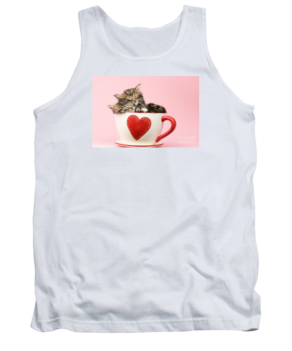 Tabby Tank Top featuring the photograph It Must Be Love by MGL Meiklejohn Graphics Licensing
