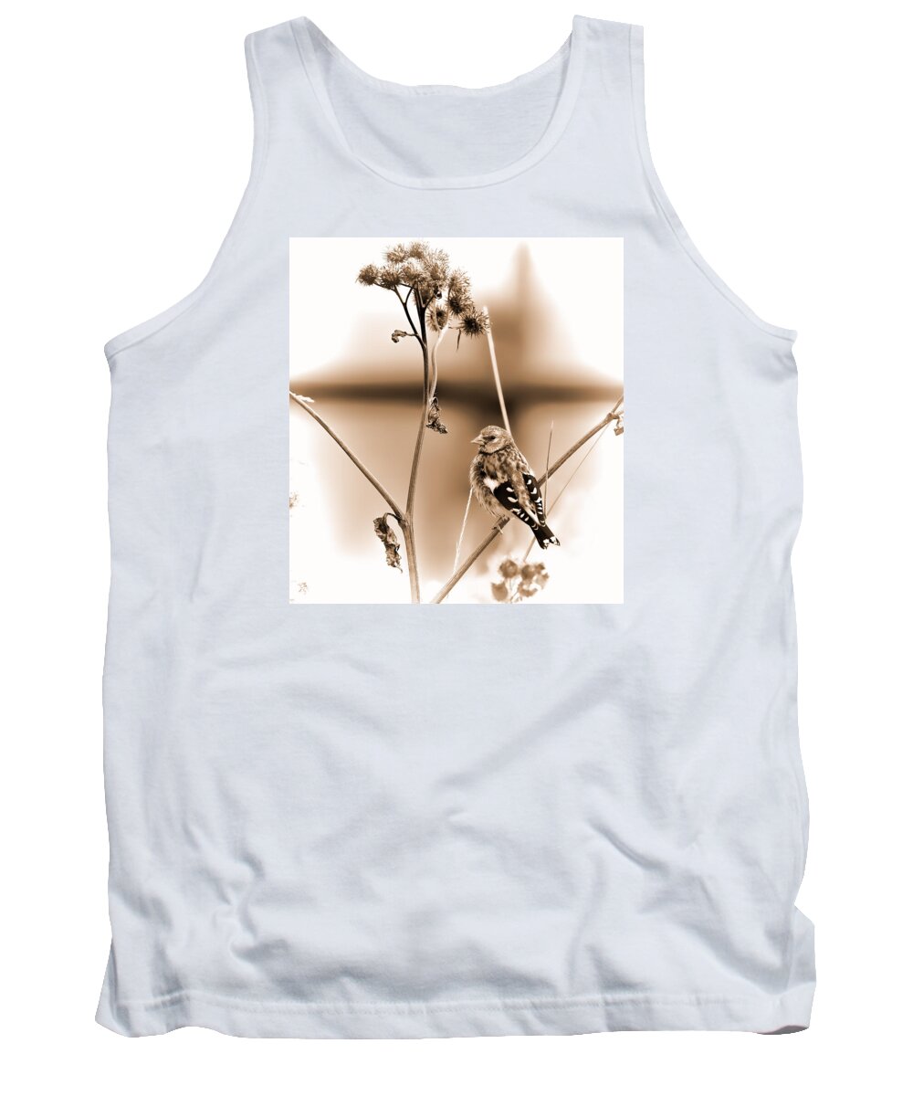 Bird Tank Top featuring the photograph Looking Sep Small brown grey yellow and black bird posing for portrait on a branch of a plant by Leif Sohlman