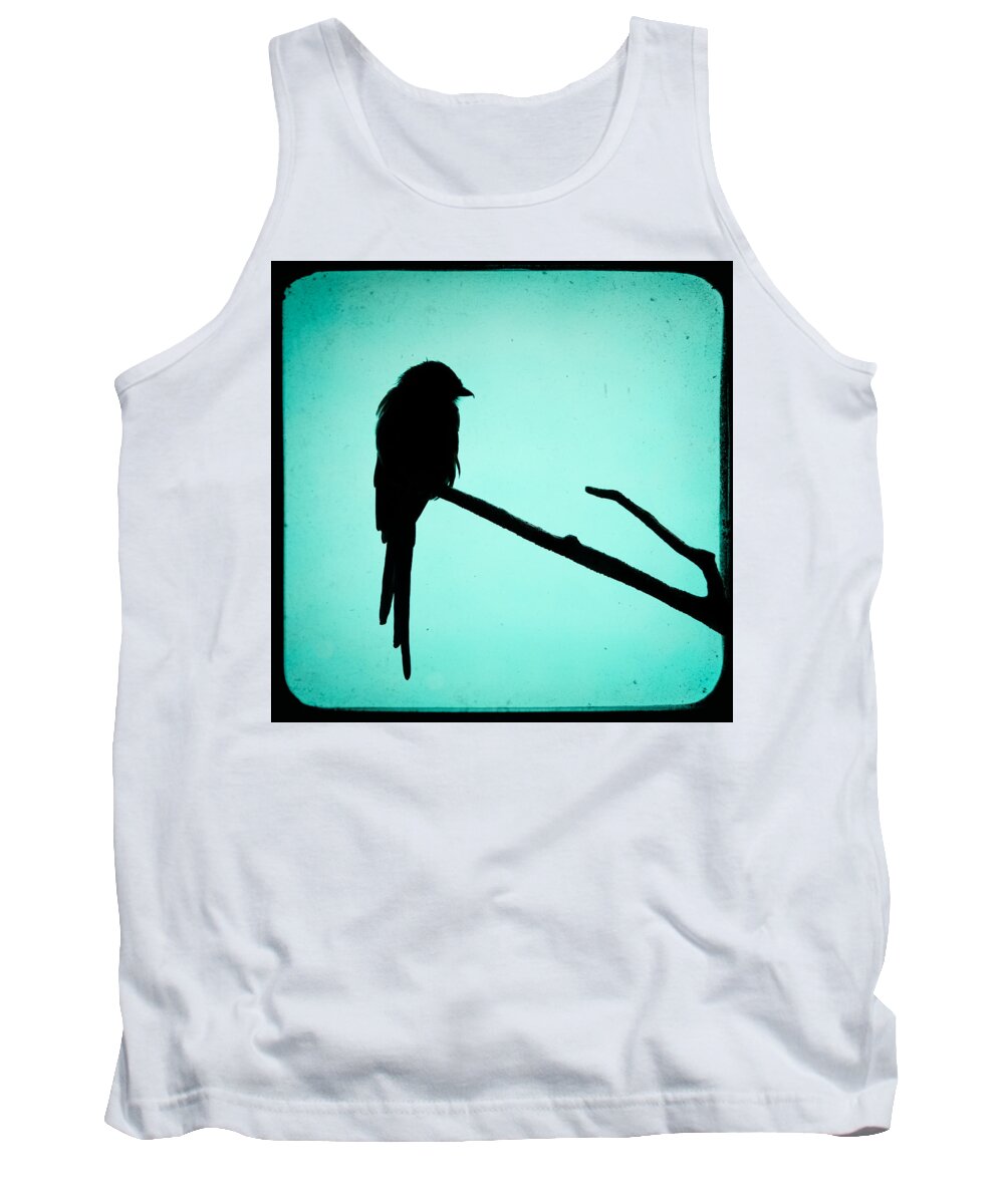 Bird Tank Top featuring the photograph Magpie Shrike Silhouette by Gary Heller