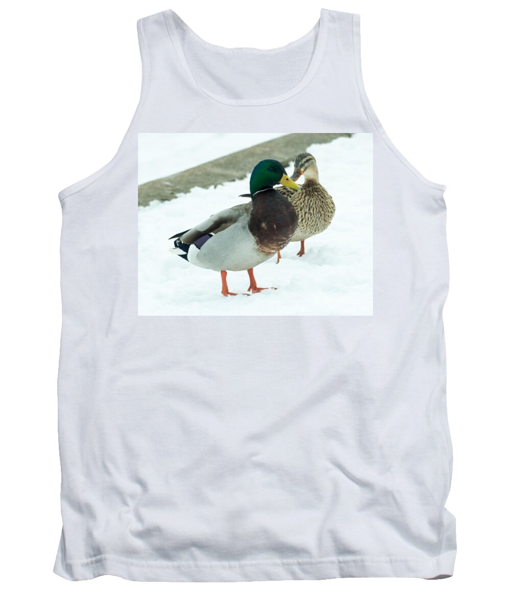 Drake Tank Top featuring the photograph Mallards in the Snow by Holden The Moment