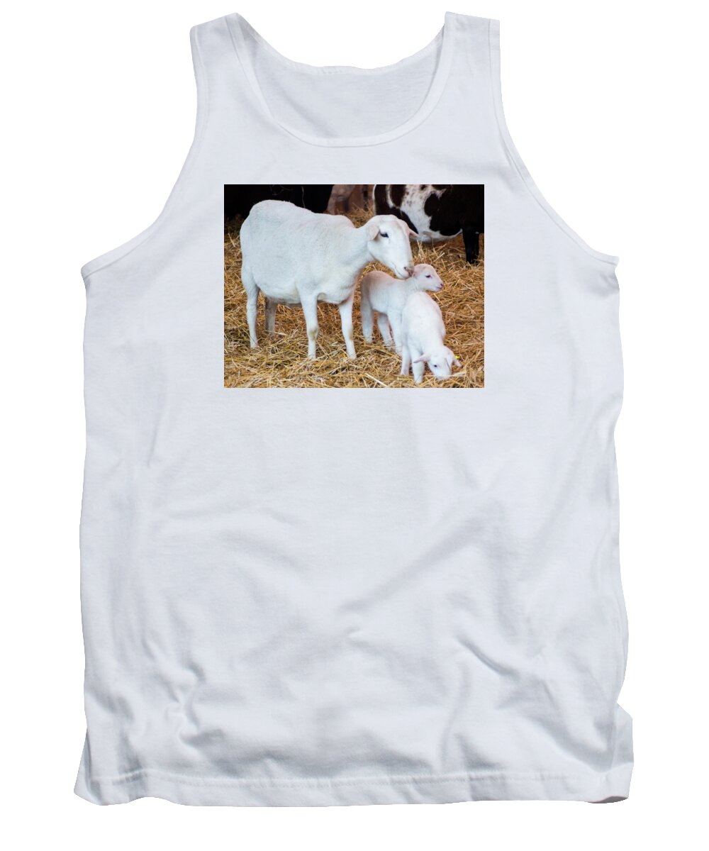 Mother Tank Top featuring the photograph Momma and Newborns by Photographic Arts And Design Studio