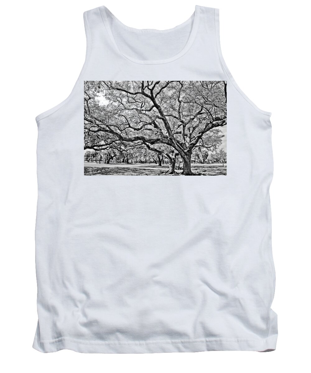 Trees Tank Top featuring the photograph Oak Trees by Chauncy Holmes