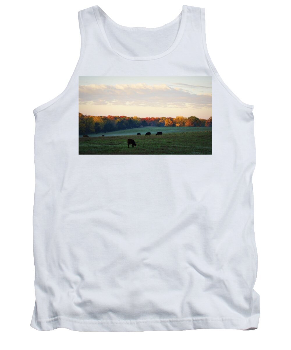 Cattle Tank Top featuring the photograph October Morning by Cricket Hackmann