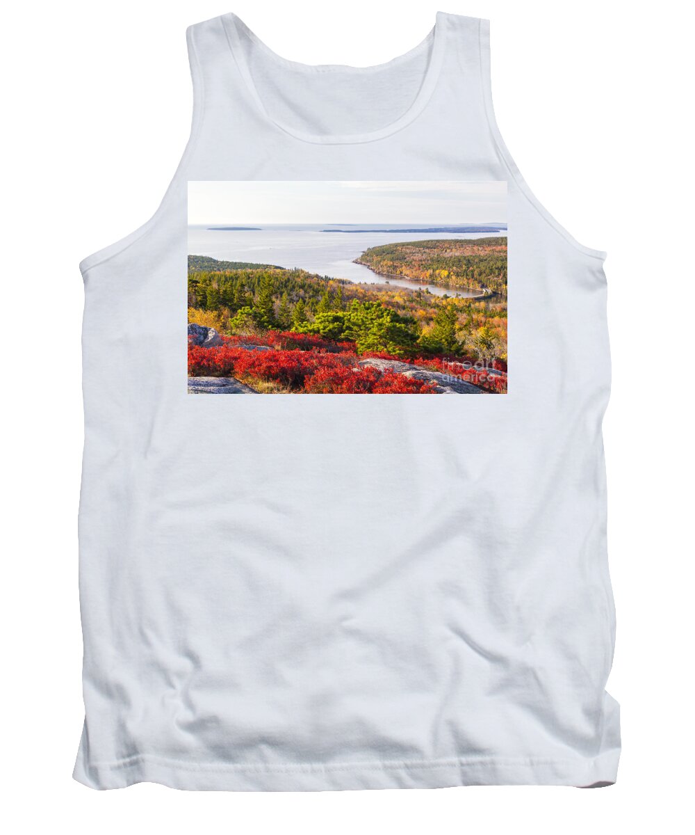 Acadia Tank Top featuring the photograph Otter Cove from Gorham Mountain in Autumn Acadia National Park by Ken Brown