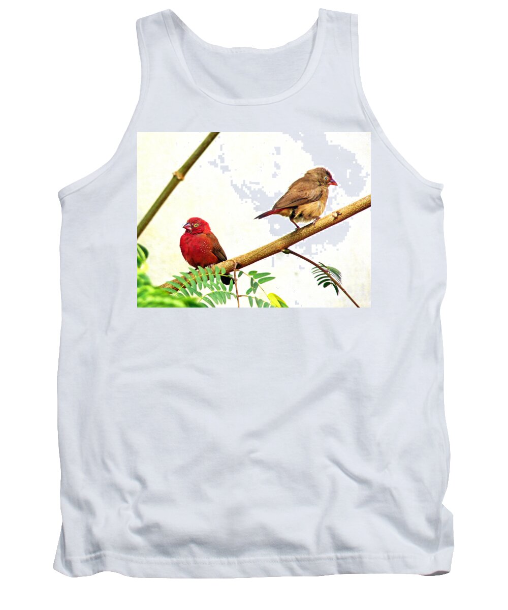 Birds Tank Top featuring the photograph Pair of Red-billed firefinches by Tony Murtagh