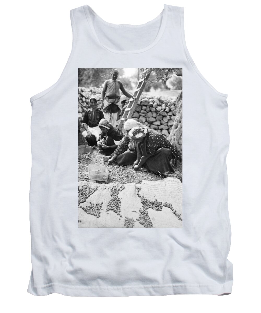 1910 Tank Top featuring the photograph Palestine Gathering Olives by Granger