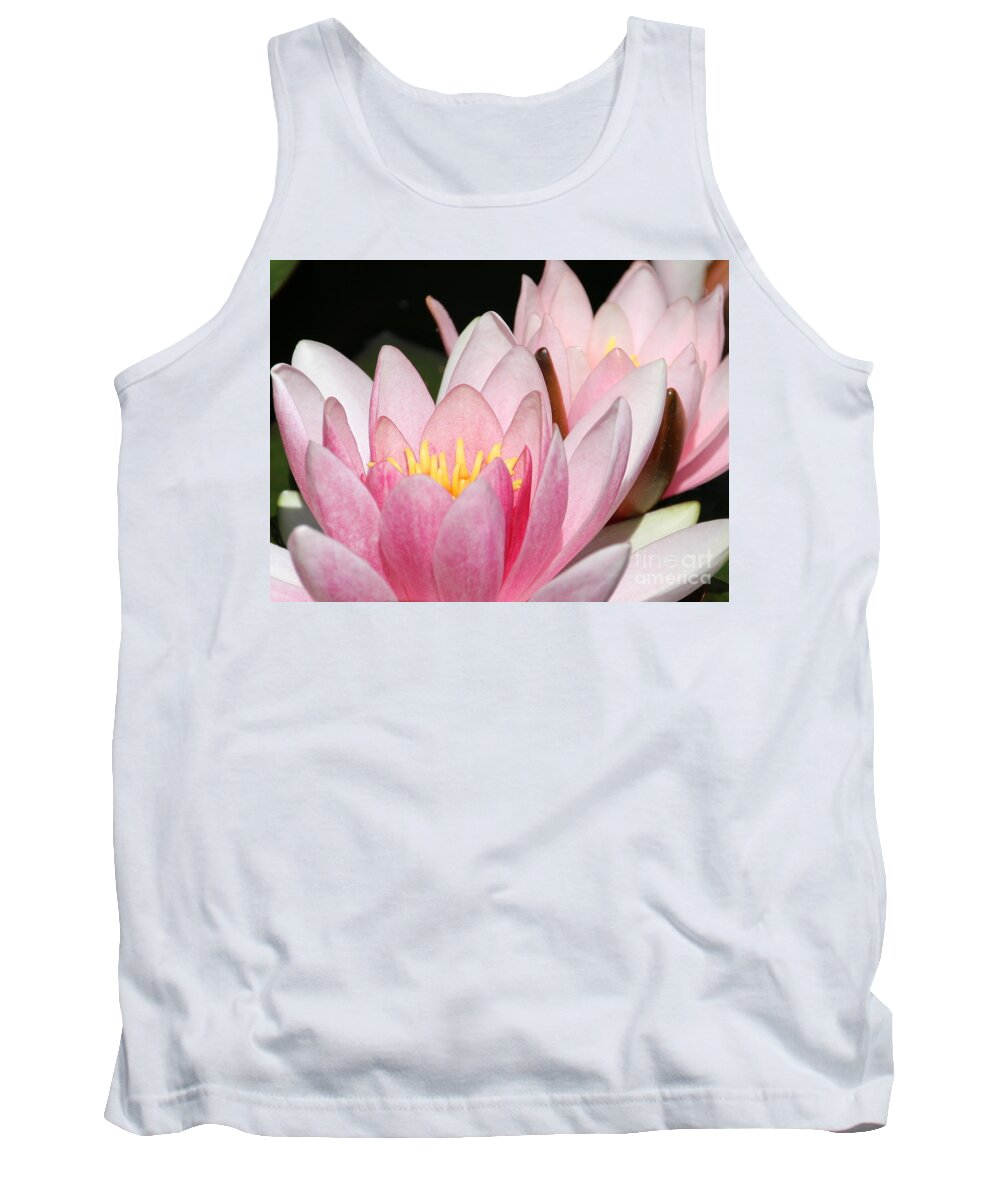 Lilies Tank Top featuring the photograph Pink Water Lily by Amanda Mohler