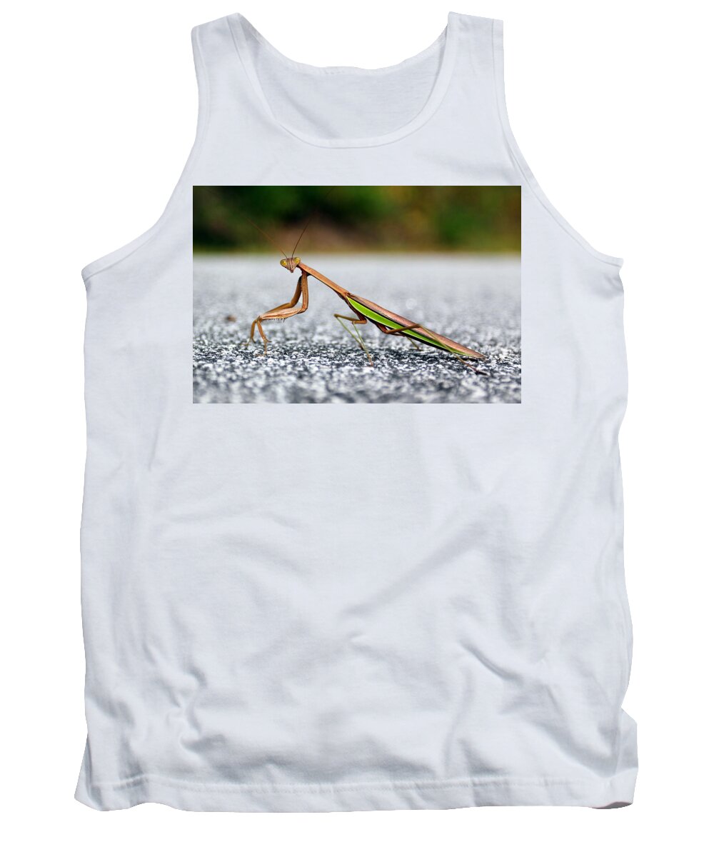 Insects Tank Top featuring the photograph Posing for the Camera by Jennifer Robin