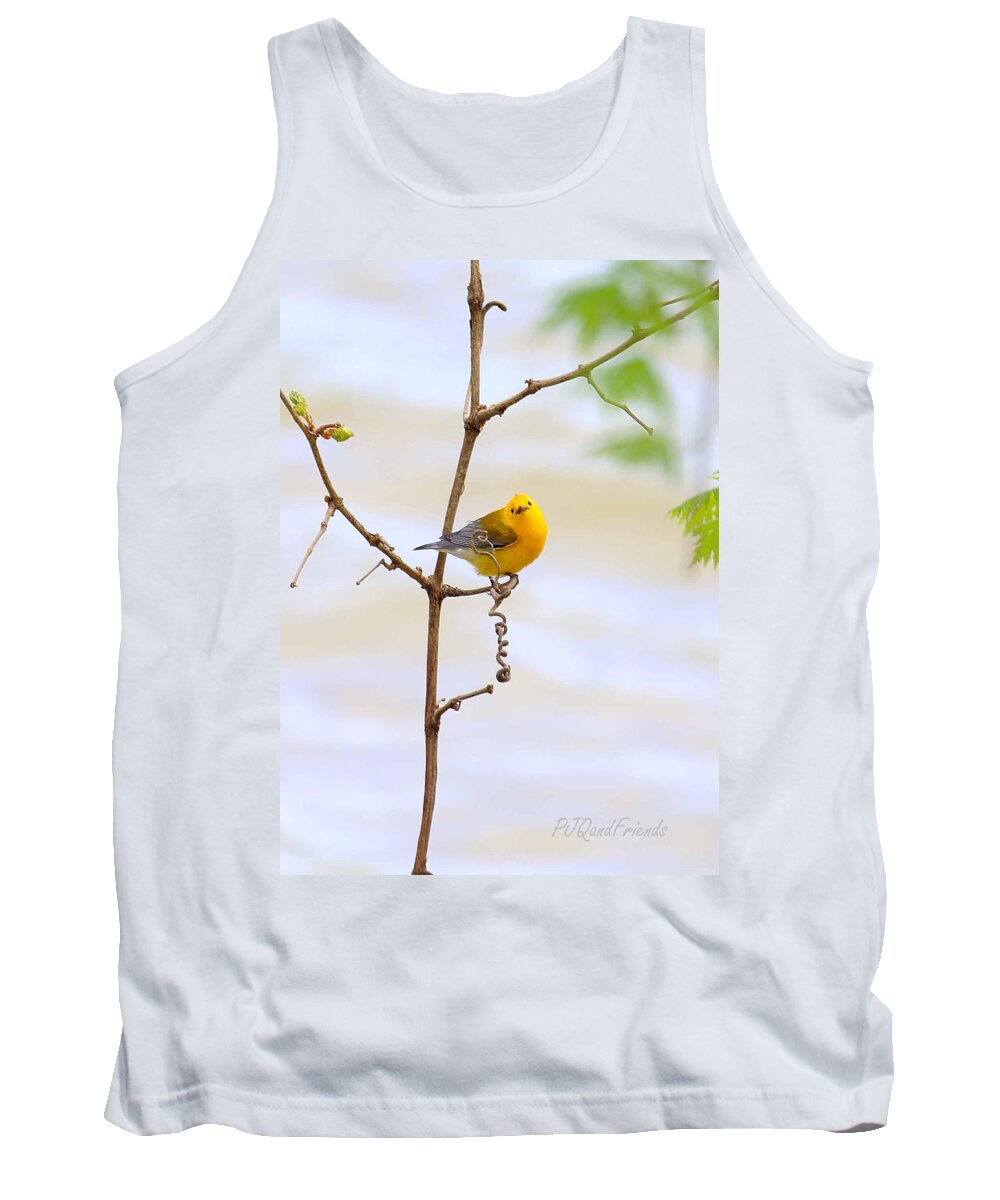 Prothonotary Warbler Tank Top featuring the photograph Prothonotary Warbler by PJQandFriends Photography