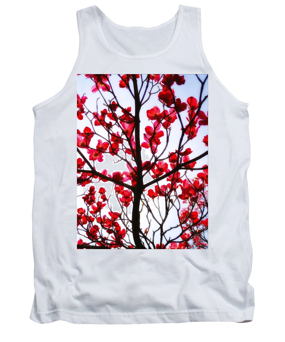 Nature Tank Top featuring the photograph Red Tree Blossom by Joseph Hedaya