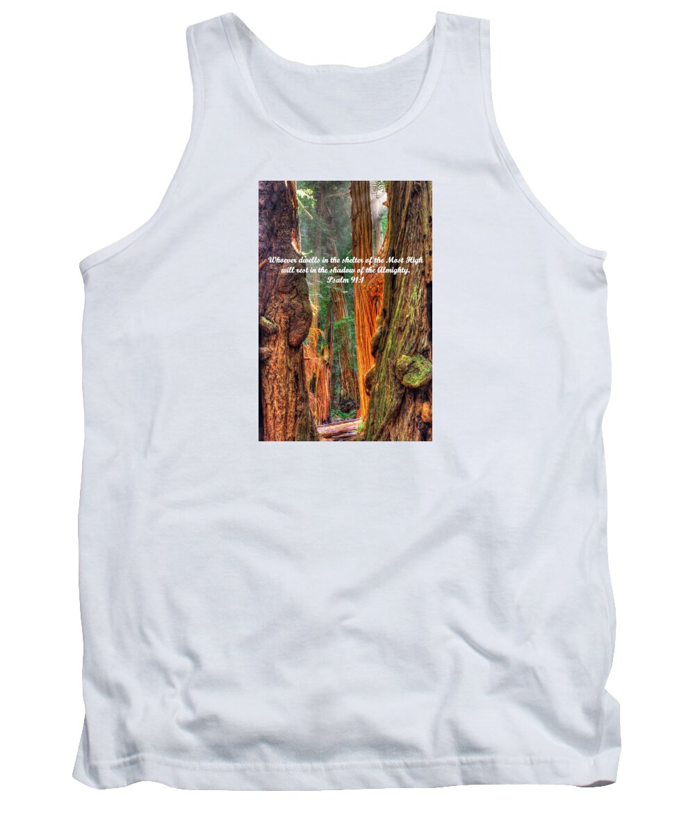 California Tank Top featuring the photograph Rest in the Shadow of the Almighty - Psalm 91.1 - From Sunlight Beams Into the Grove at Muir Woods by Michael Mazaika