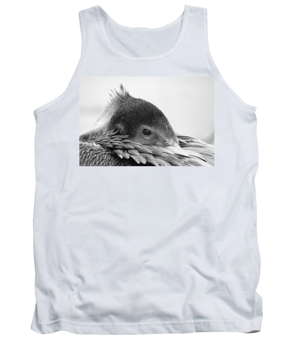 Pelican Tank Top featuring the photograph Resting Pelican by Bradford Martin