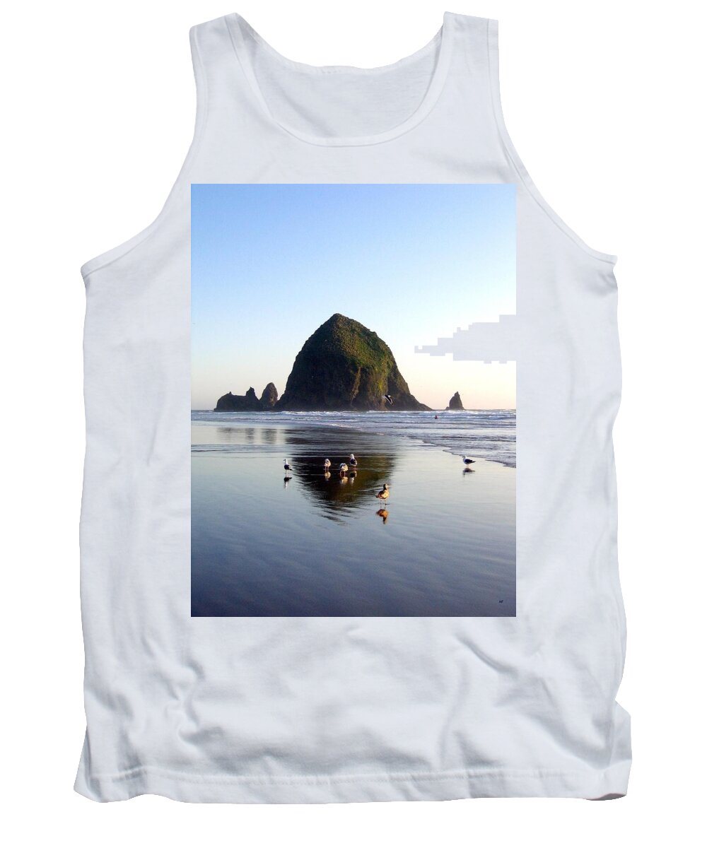 Seagulls And A Surfer Tank Top featuring the photograph Seagulls And A Surfer by Will Borden