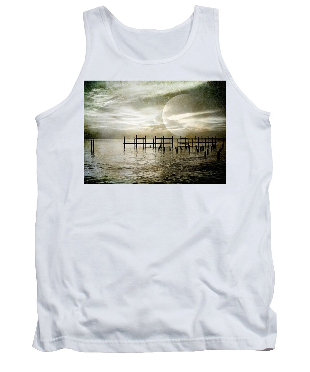 Silhouette Tank Top featuring the photograph Silhouettes by Kathy Bassett