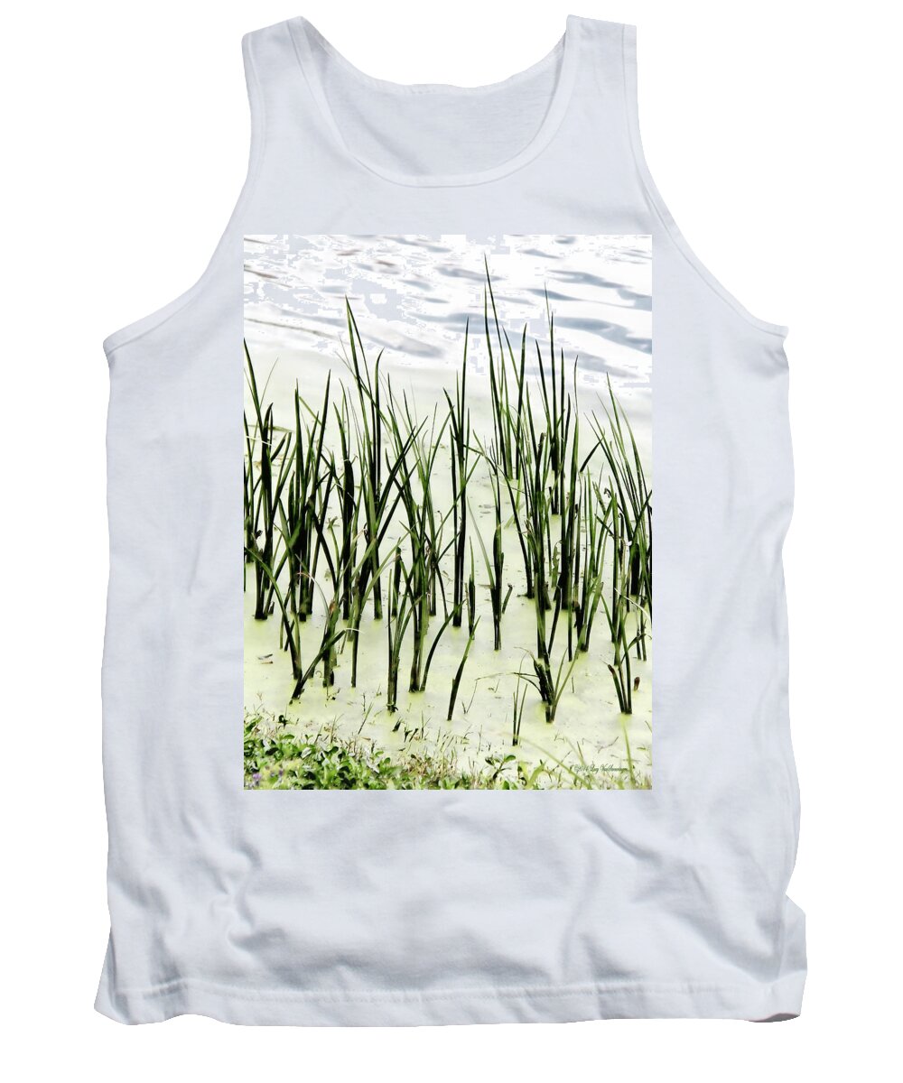 Reeds Canvas Print Tank Top featuring the photograph Slender Reeds by Lucy VanSwearingen