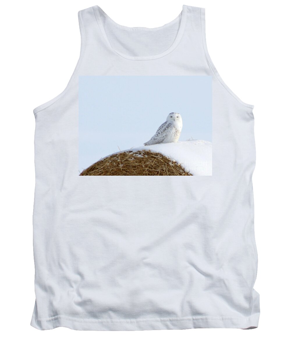 Alyce Taylor Tank Top featuring the photograph Snowy Owl by Alyce Taylor