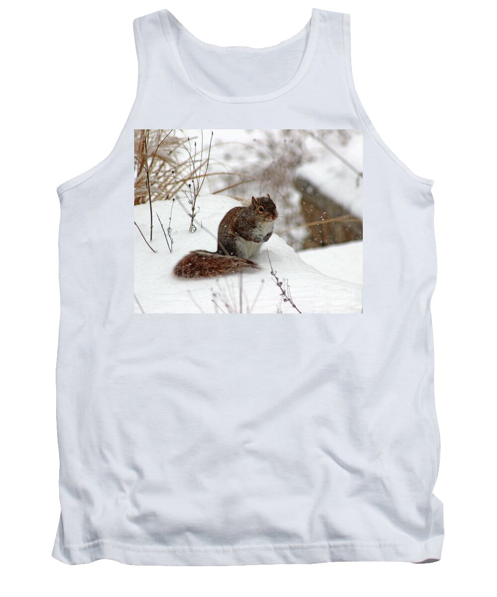 Winter Tank Top featuring the photograph Squirrel in Winter by Karen Adams