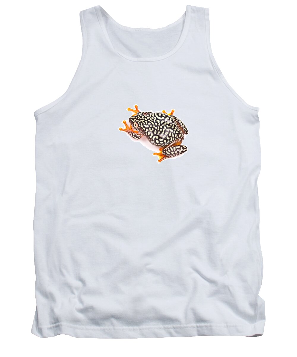 White-spotted Reed Frog Tank Top featuring the photograph Starry Night Reed Frog by David Kenny