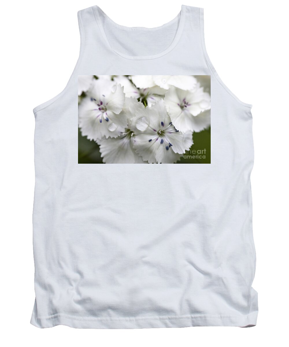 Sweet Williams Tank Top featuring the photograph Sweet Williams by Emma England