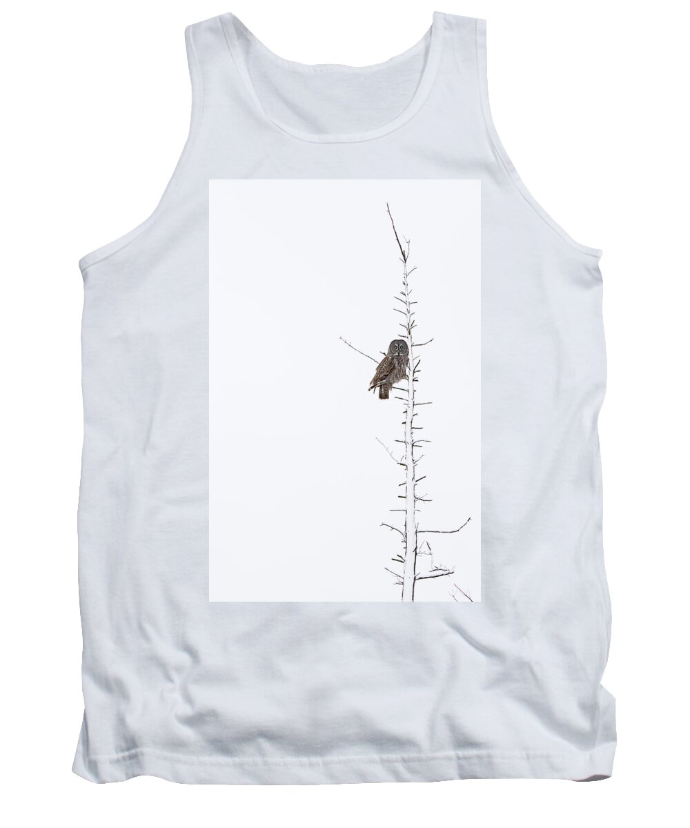 Bird Tank Top featuring the photograph The Grey Hunter on White by Mircea Costina Photography