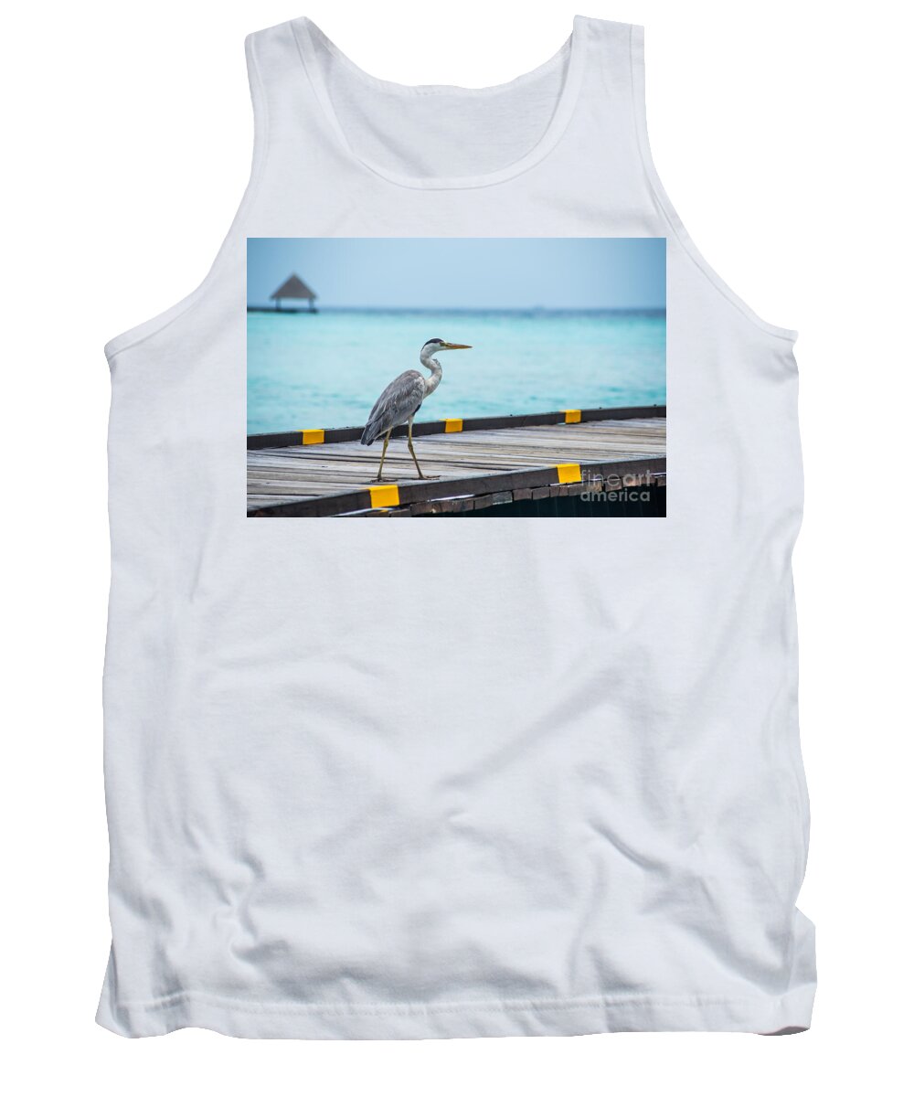 Animal Tank Top featuring the photograph The Hereon by Hannes Cmarits