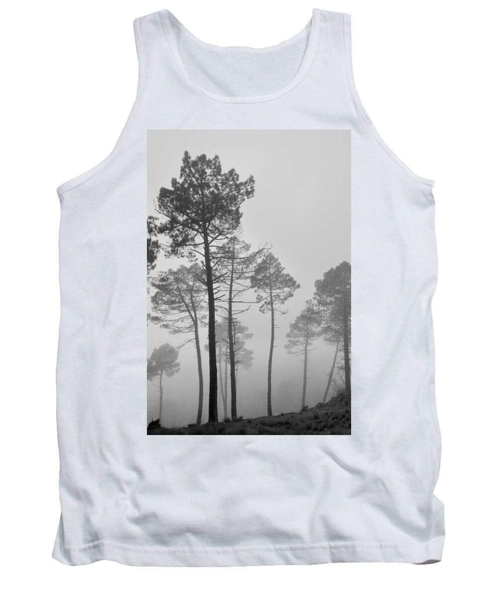 Landscape Tank Top featuring the photograph The owners by Guido Montanes Castillo