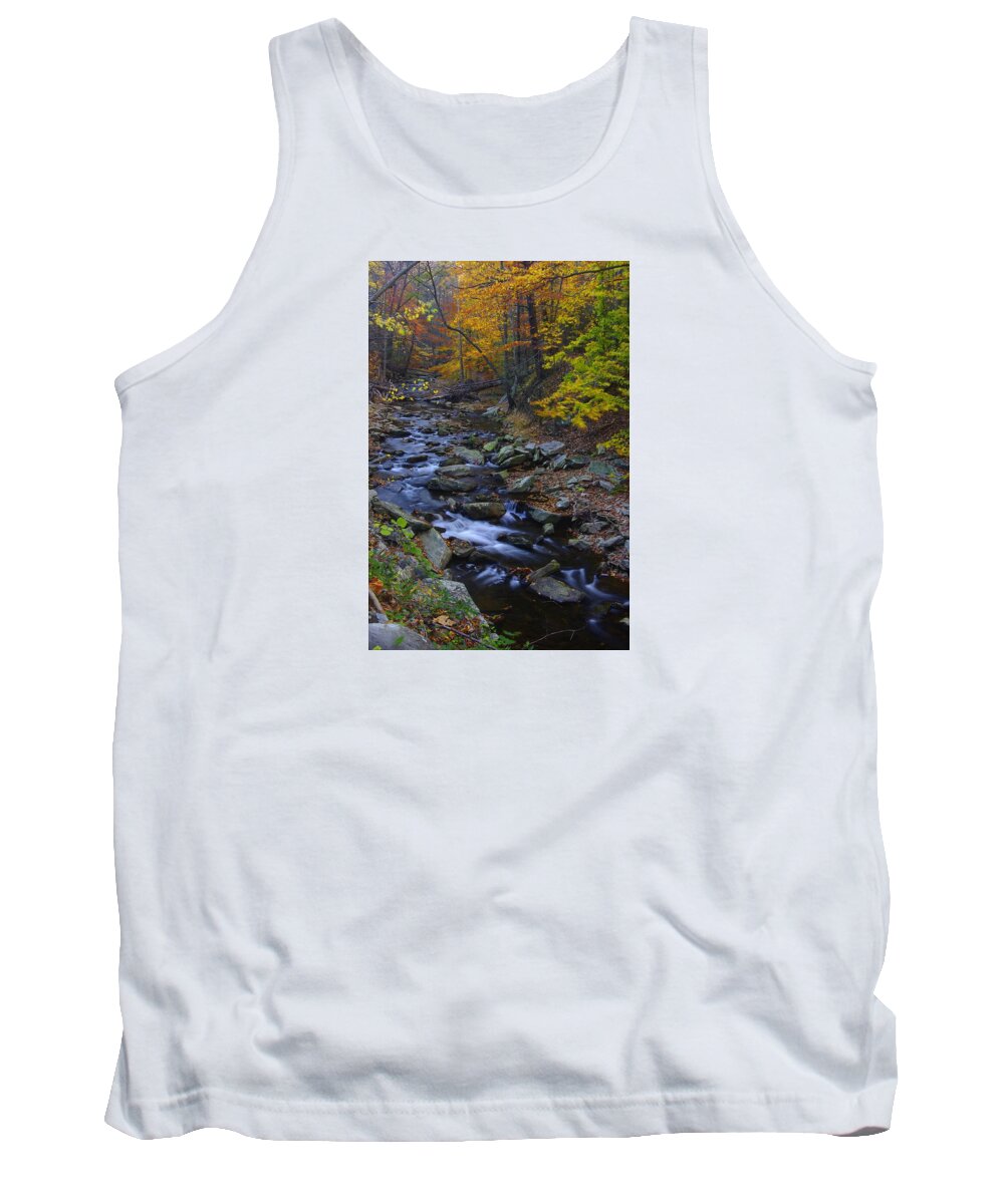Maryland Tank Top featuring the photograph Tracking Color - Big Hunting Creek Catoctin Mountain Park Maryland Autumn Afternoon by Michael Mazaika