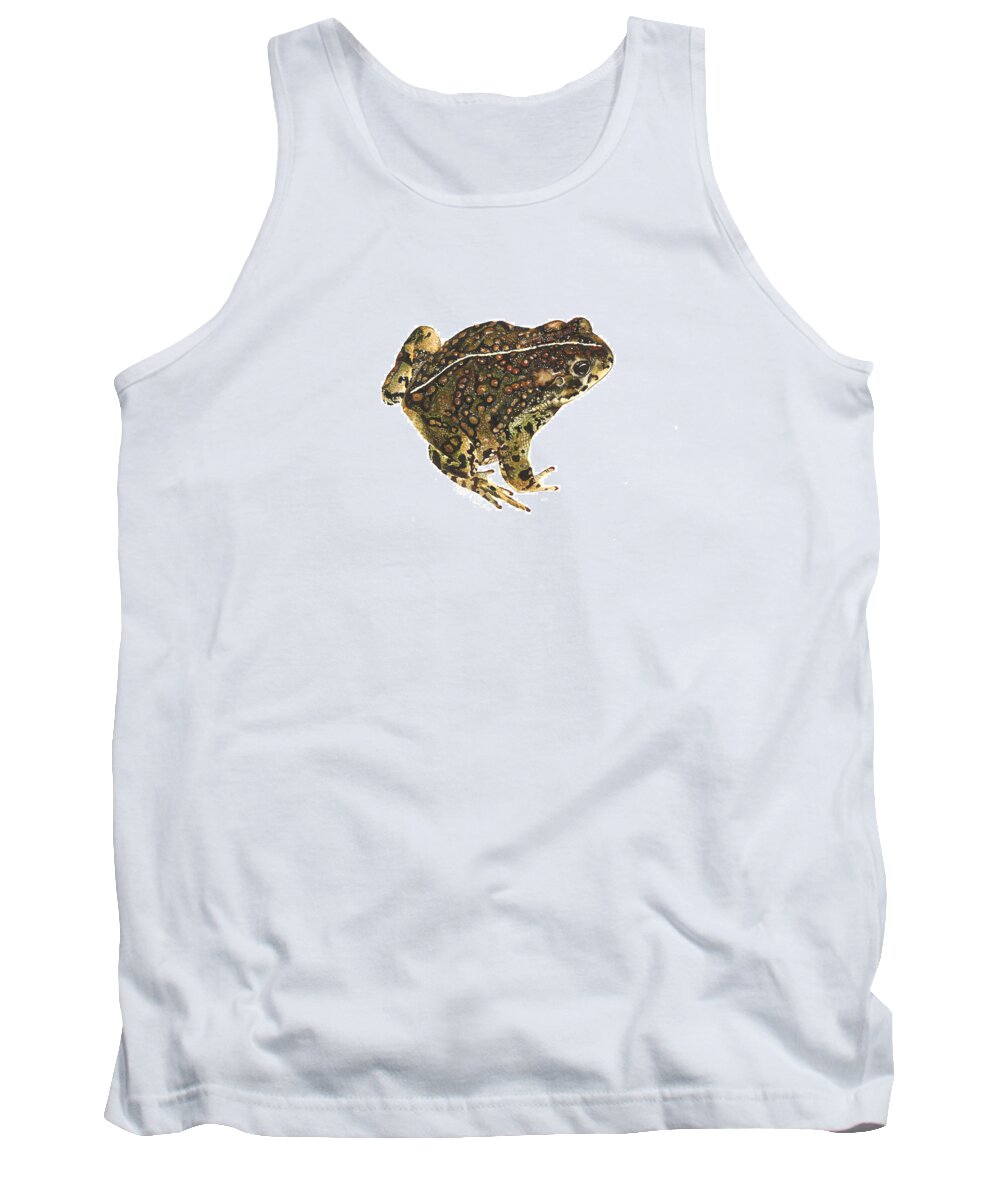 Anaxyrus Boreas Tank Top featuring the painting Western toad by Cindy Hitchcock