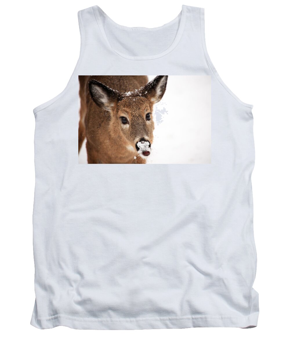 Deer Tank Top featuring the photograph White On The Nose by Karol Livote