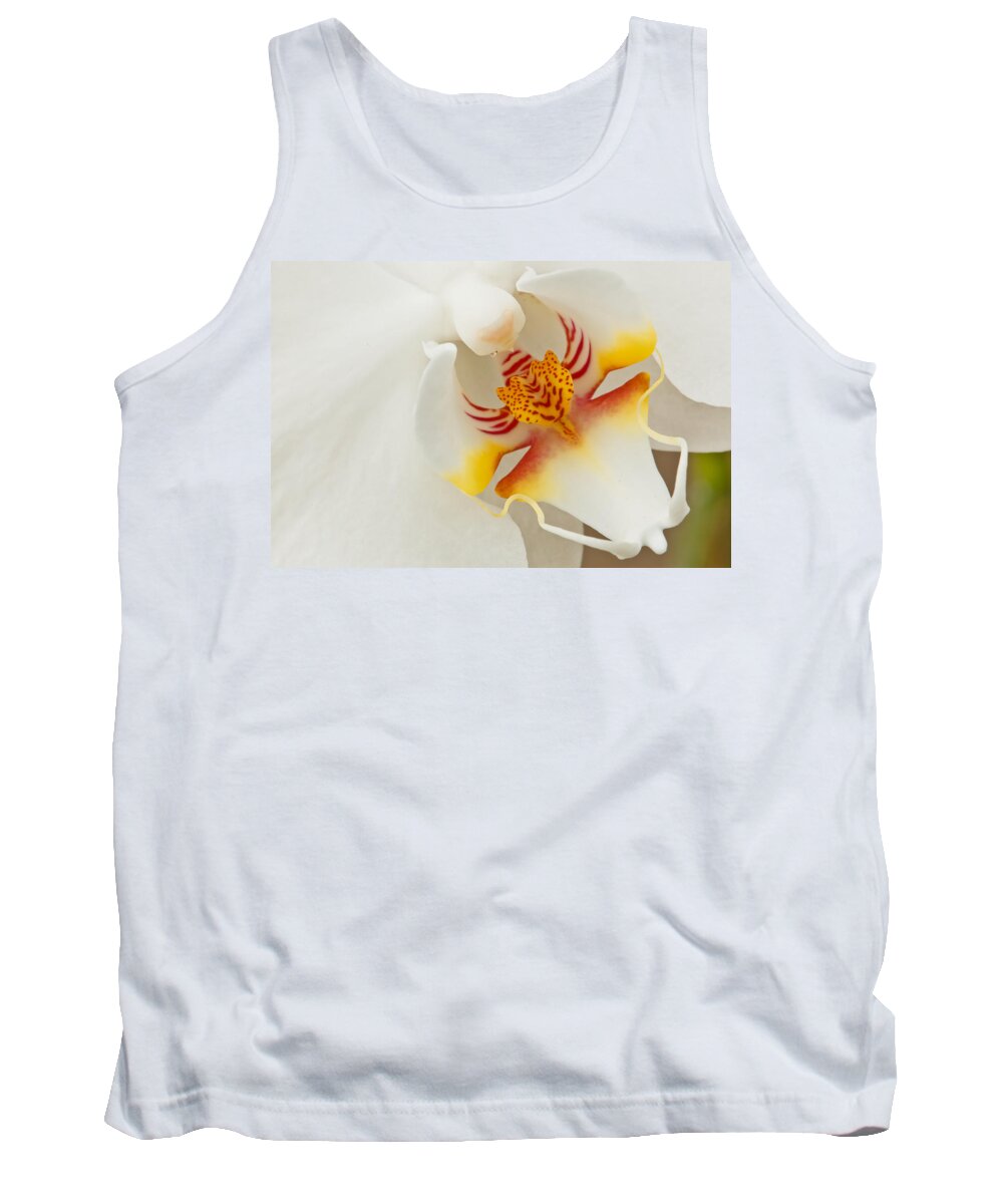 Orchid Tank Top featuring the photograph White Orchid 2 by Ben Graham
