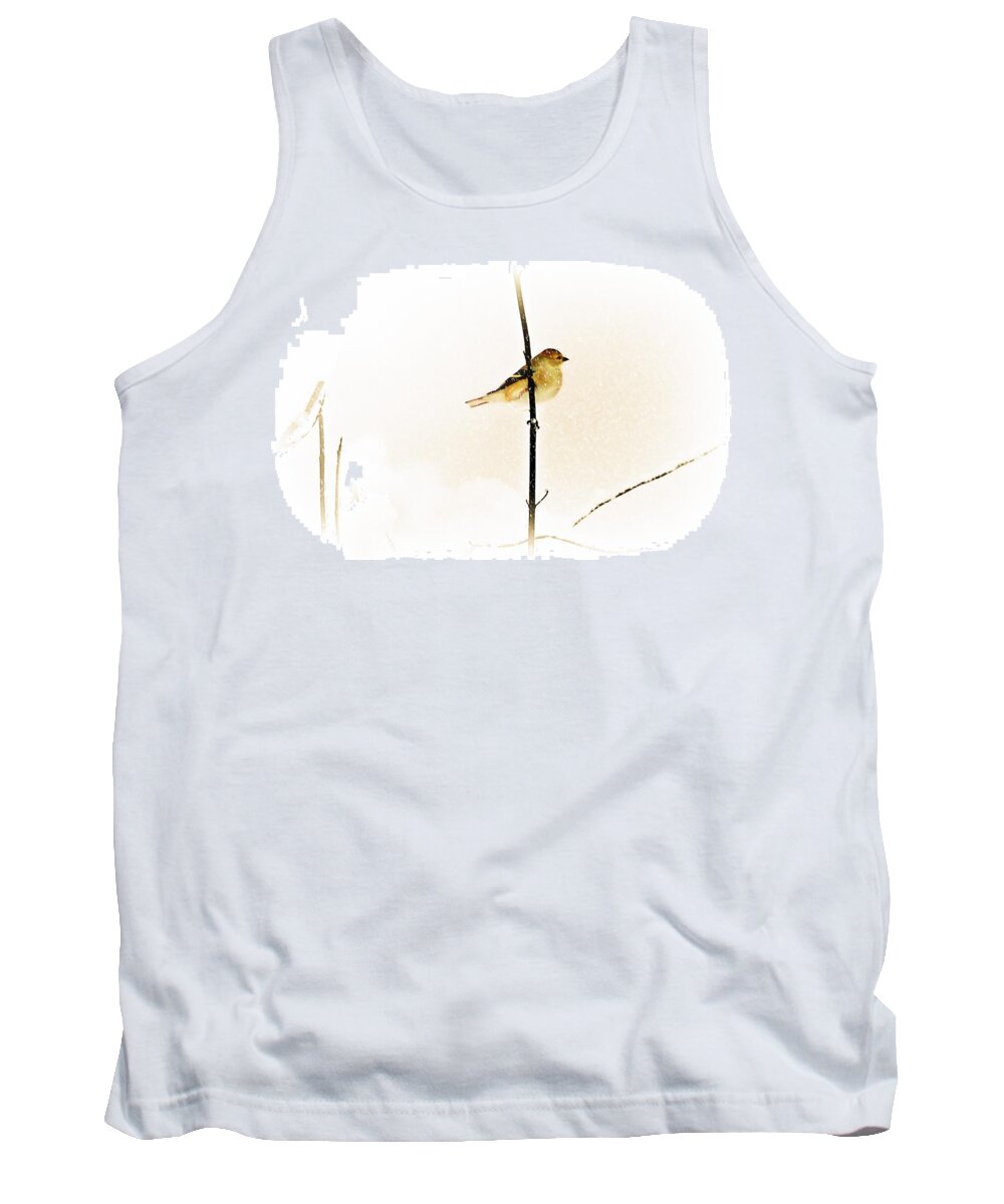 White Tank Top featuring the photograph White Out Conditions by Barbara S Nickerson