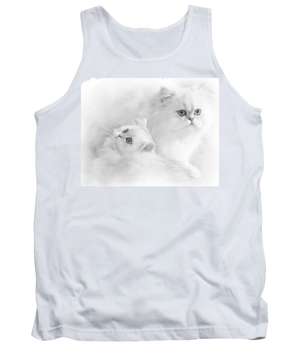 Cat Tank Top featuring the photograph White Persians by David and Carol Kelly