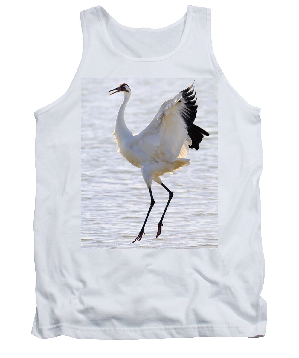 Whooping Crane Tank Top featuring the photograph Whooping Crane - Whooping it up by Tony Beck
