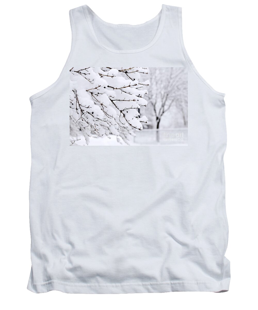 Winter Tank Top featuring the photograph Winter park under heavy snow by Elena Elisseeva