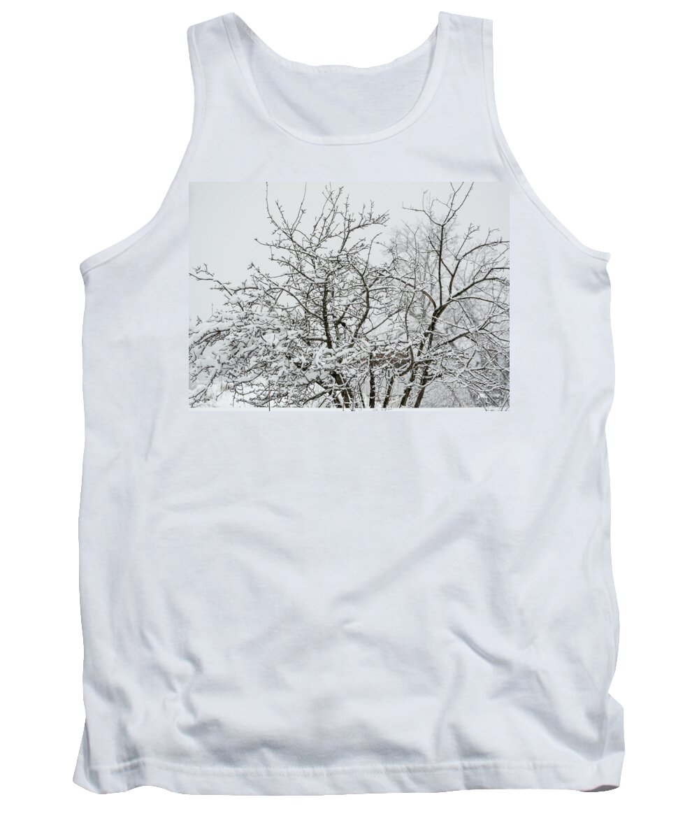 Winter Tank Top featuring the photograph Winter Snow by Holden The Moment