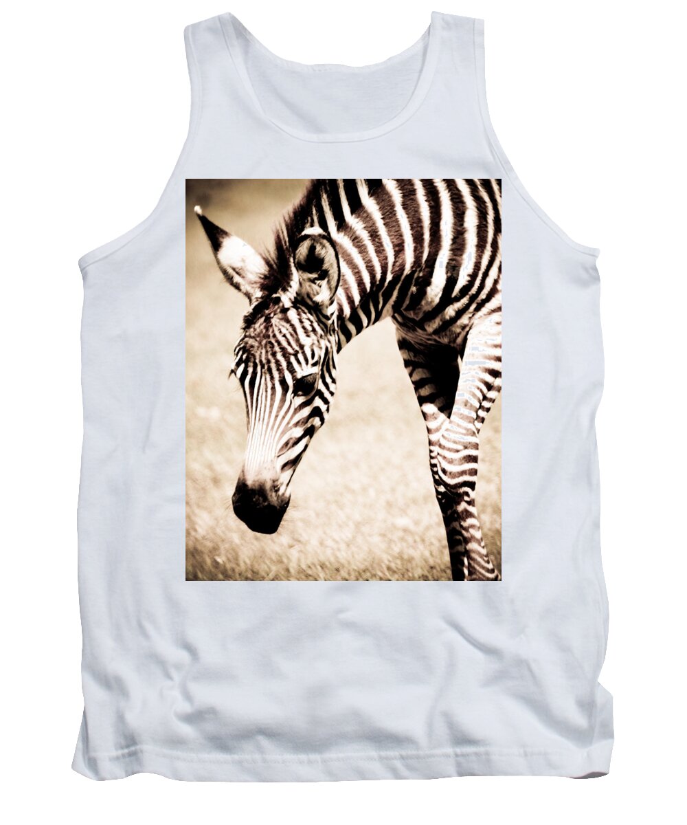 Zebra Tank Top featuring the photograph Zebra Foal Sepia Tones by Maggy Marsh