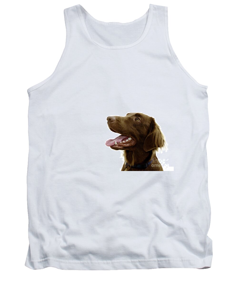 Flat Coated Retriever Tank Top featuring the photograph Lilly by Ang El