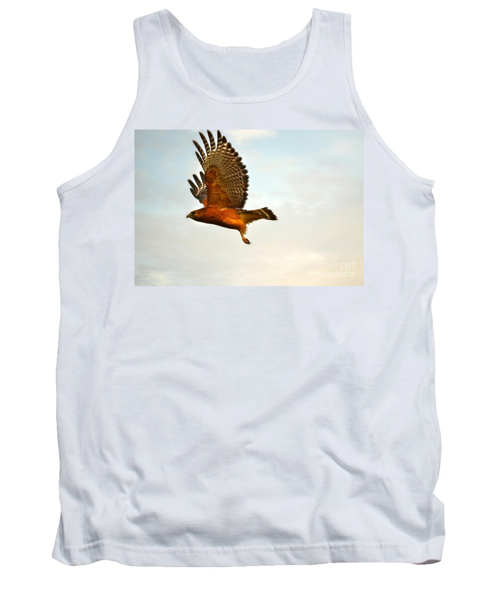 Landscape Tank Top featuring the photograph Majestic Red Shoulder Hawk by Peggy Franz