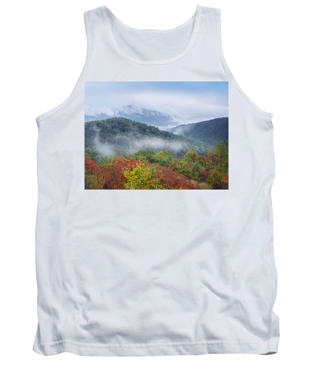 00176906 Tank Top featuring the photograph Broadleaf Forest In Fall Colors As Seen #1 by Tim Fitzharris