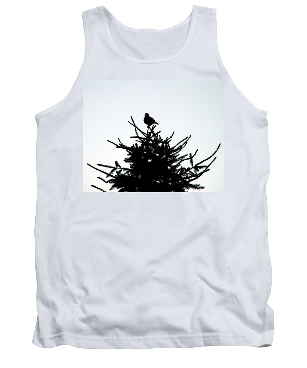 Silhouette Tank Top featuring the photograph Bird Silhouette by Mark Dodd