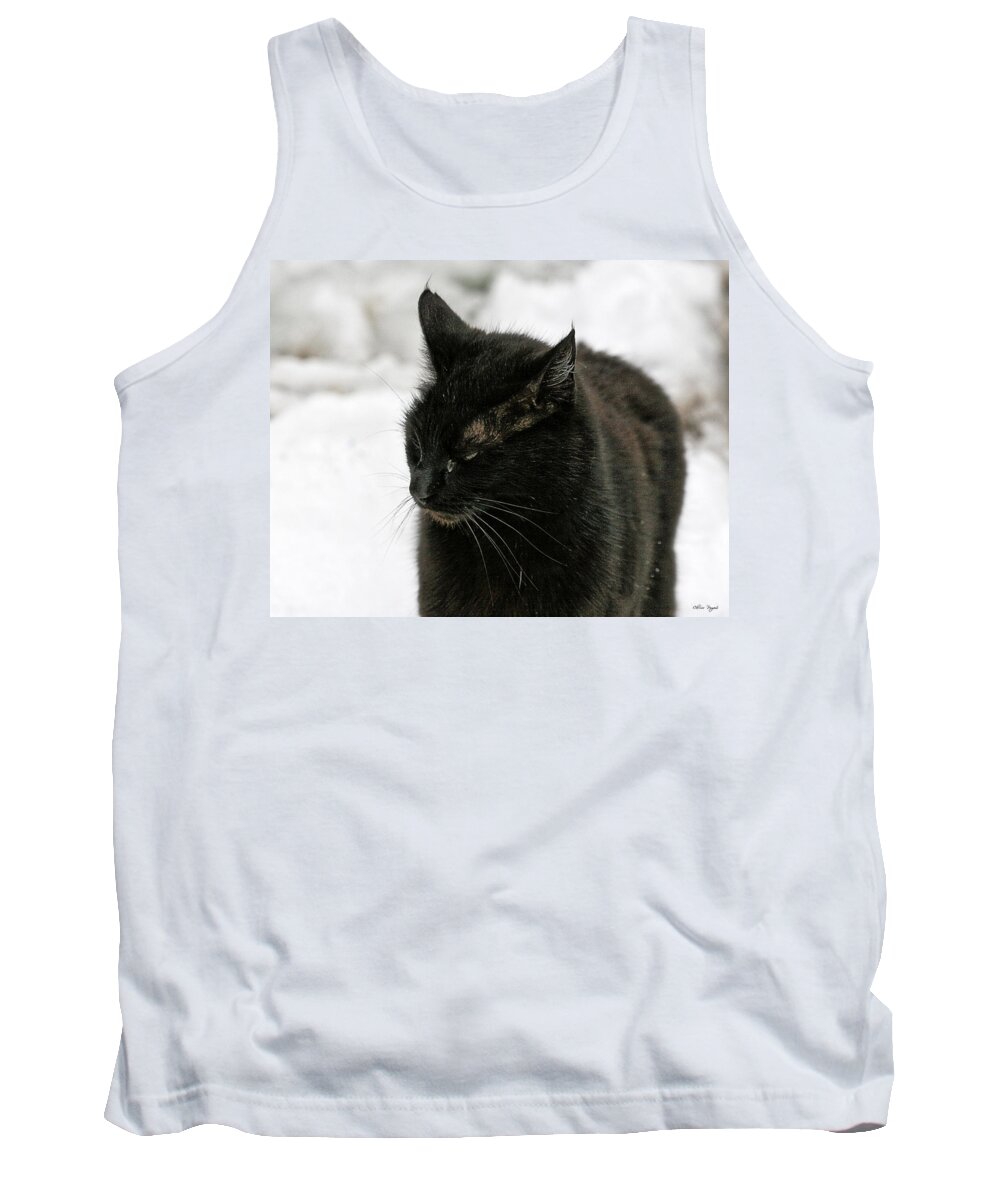 Photo Tank Top featuring the photograph Black Cat White Snow by Chriss Pagani