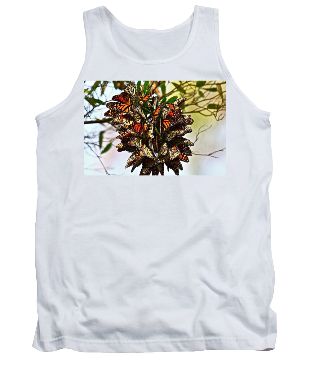 Butterfly Tank Top featuring the photograph Butterfly Bouquet by Diana Hatcher