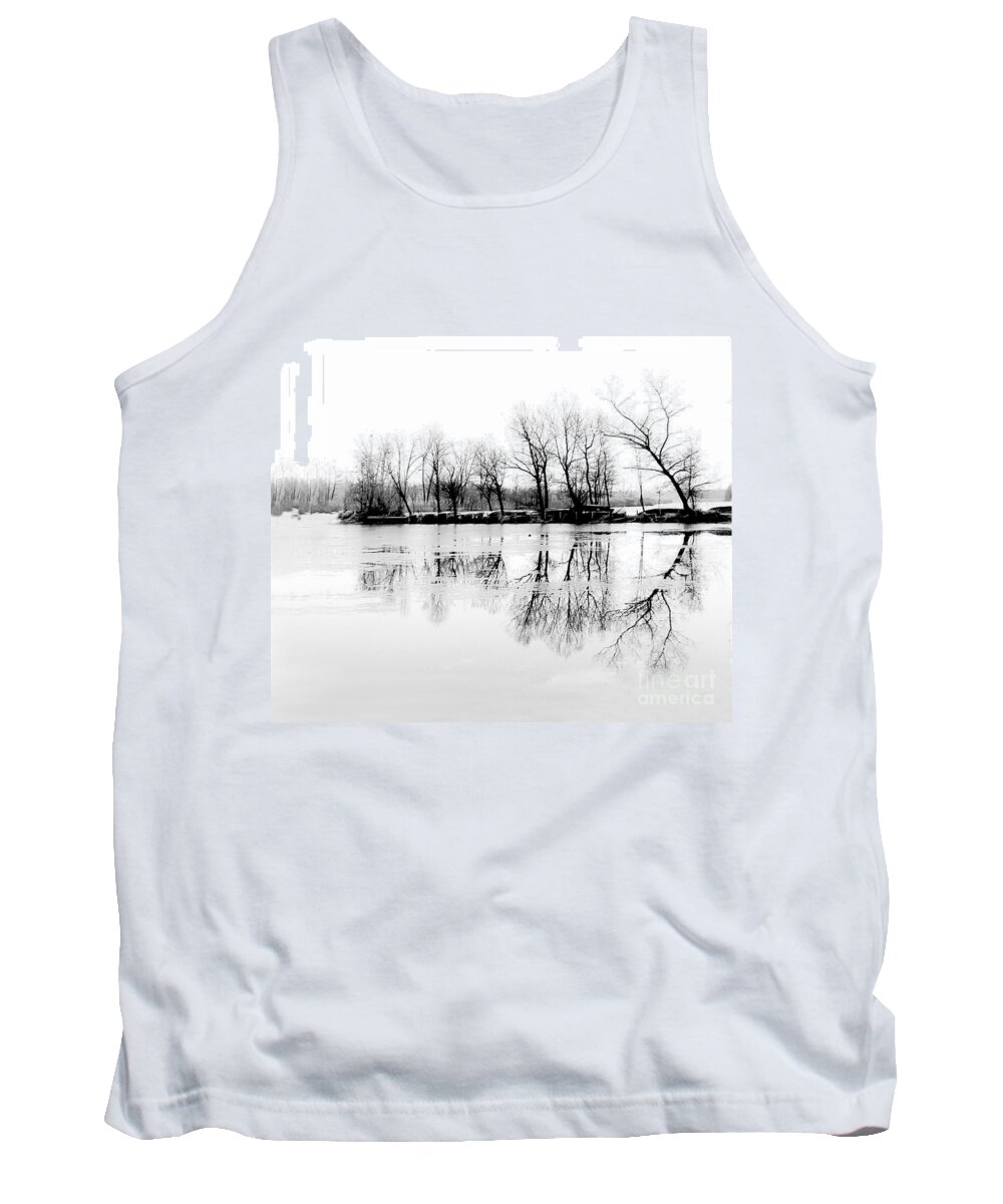 Winter Tank Top featuring the photograph Cold Silence by Hannes Cmarits
