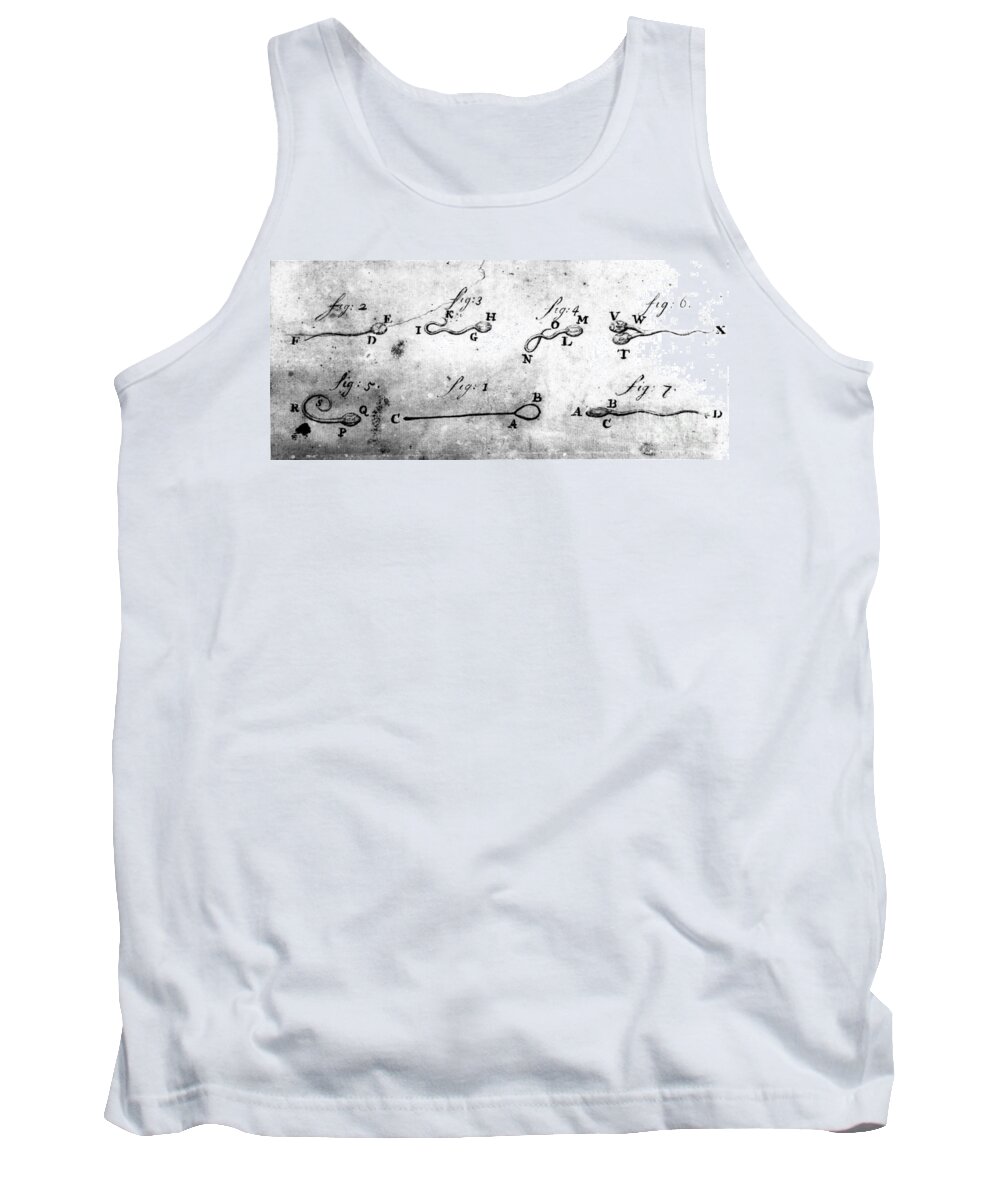 Drawing Tank Top featuring the photograph Drawing Of Human Sperm by Science Source